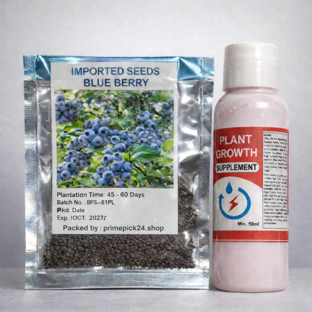 Imported Giant Blueberry Seeds – Grow Bigger, Juicier Berries at Home